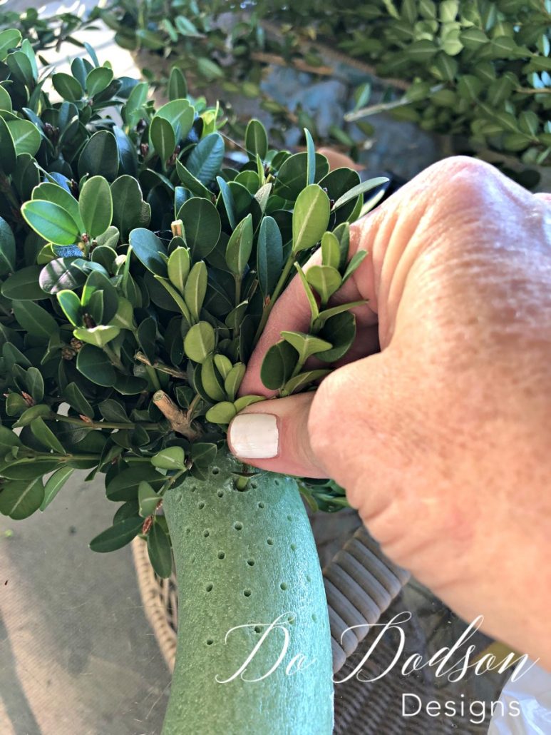 I carefully placed each cutting in the hole. This goes fairly quickly once you get the hang of it. After I completed my boxwood wreath, I went back with my pruning shears and trimmed any long stems that were sticking out. This created a well-trimmed and manicured look on my boxwood wreath.