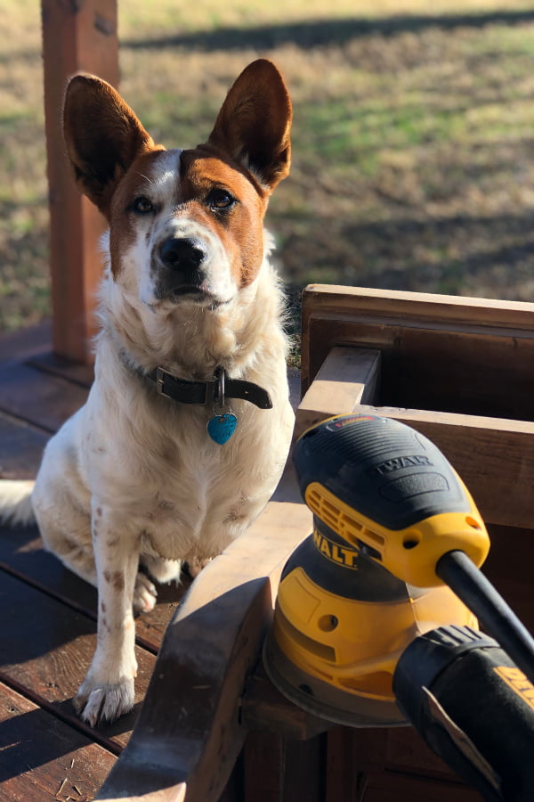 I carefully removed the damaged veneer and cleaned the wood well before adding the white wax. I'm pretty sure that "Bud" (my rescue) helped by licking. :)