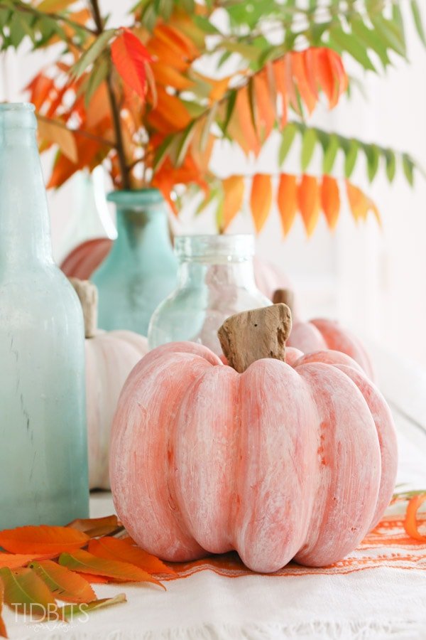How To Whitewash A Pumpkin + Add A Driftwood Stem