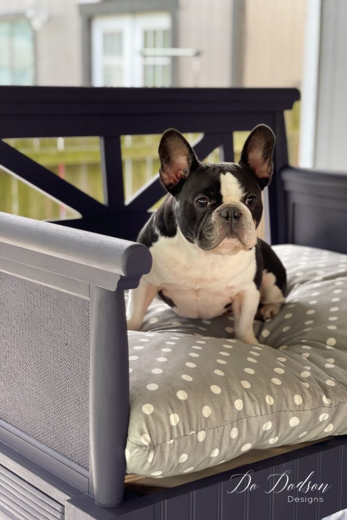 Making our dog his very own dog bed was the perfect DIY solution to keeping him off of the couch. He loves it so much. And so do we!