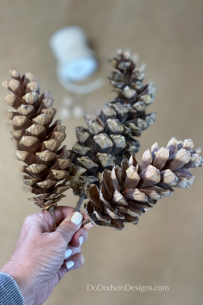 These curvy pinecones make the cutest DIY Pinecone Gnomes. 