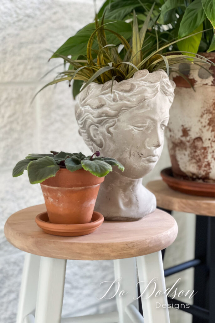 Plant Stand Ideas