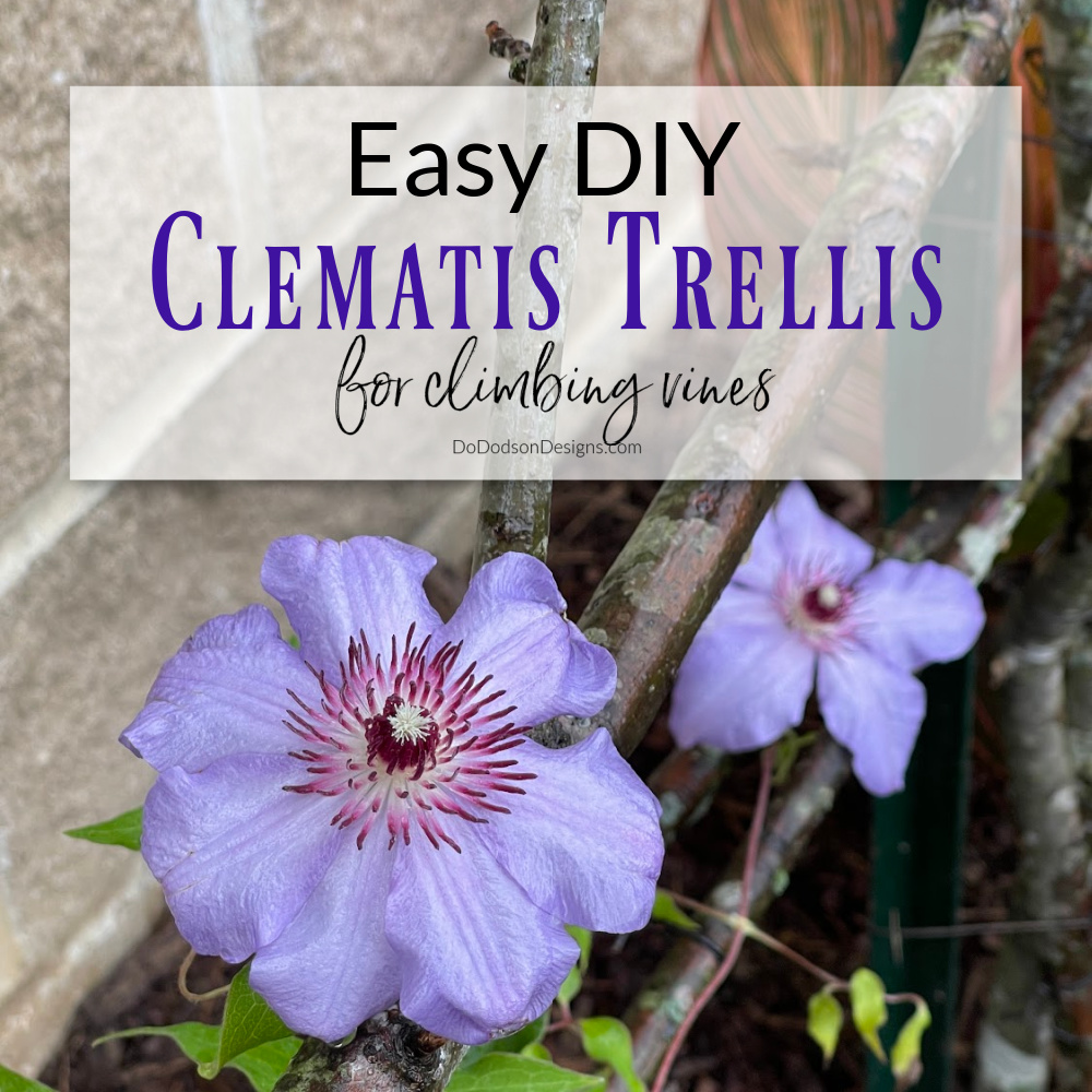 How To Build A Rustic Trellis For Your Clematis From Repurposed Branches