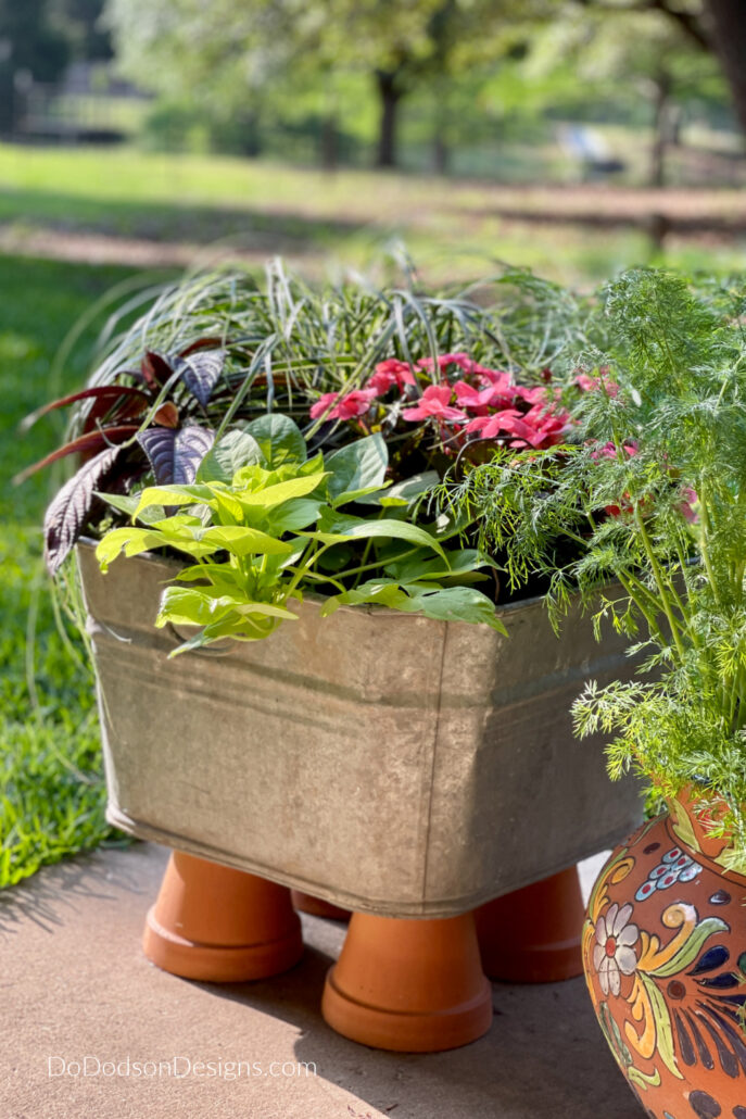 Garden Planter Ideas