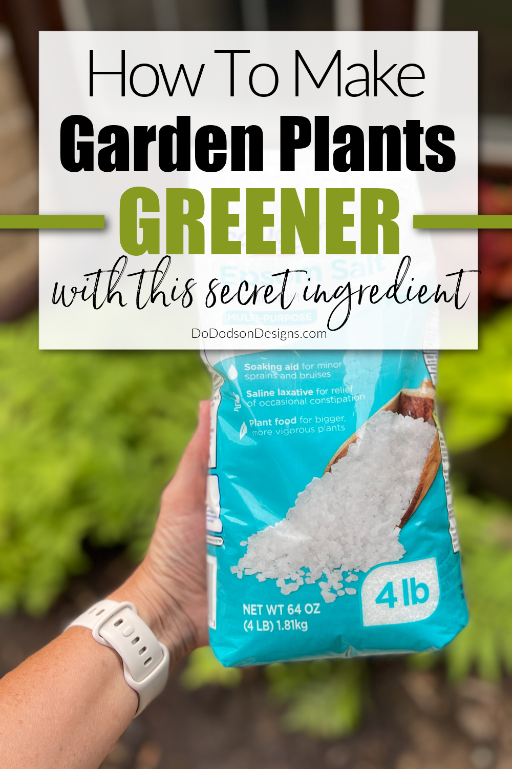 The Secret Ingredient To Get Your Plants Looking Greener Than Ever