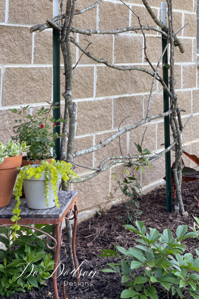 rustic trellis made from branches