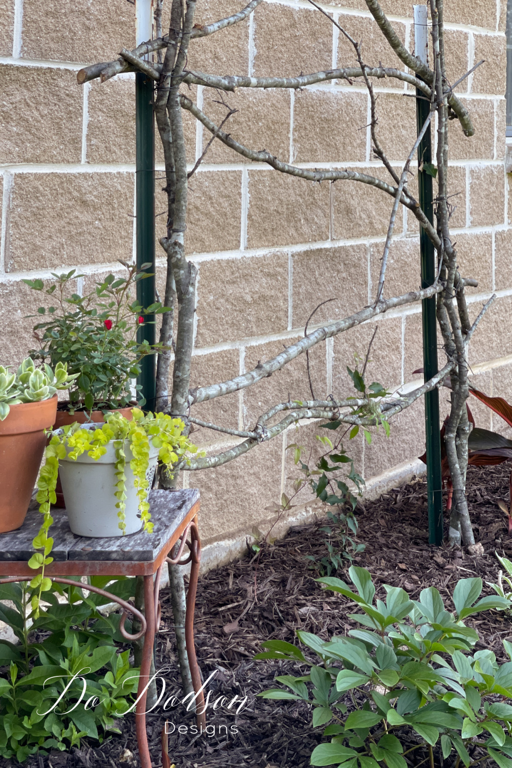 How To Build A Rustic Trellis For Your Clematis From Repurposed