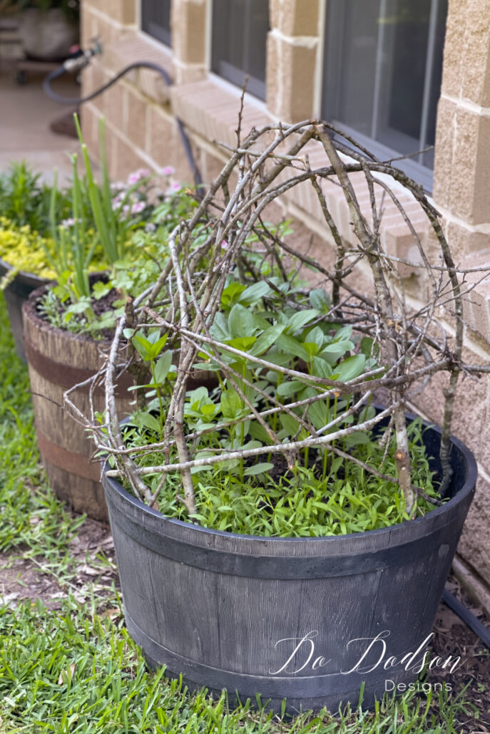 DIY Branch Trellis In A Pot