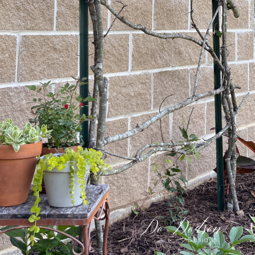 How To Build A Rustic Trellis For Your Clematis From Repurposed Branches