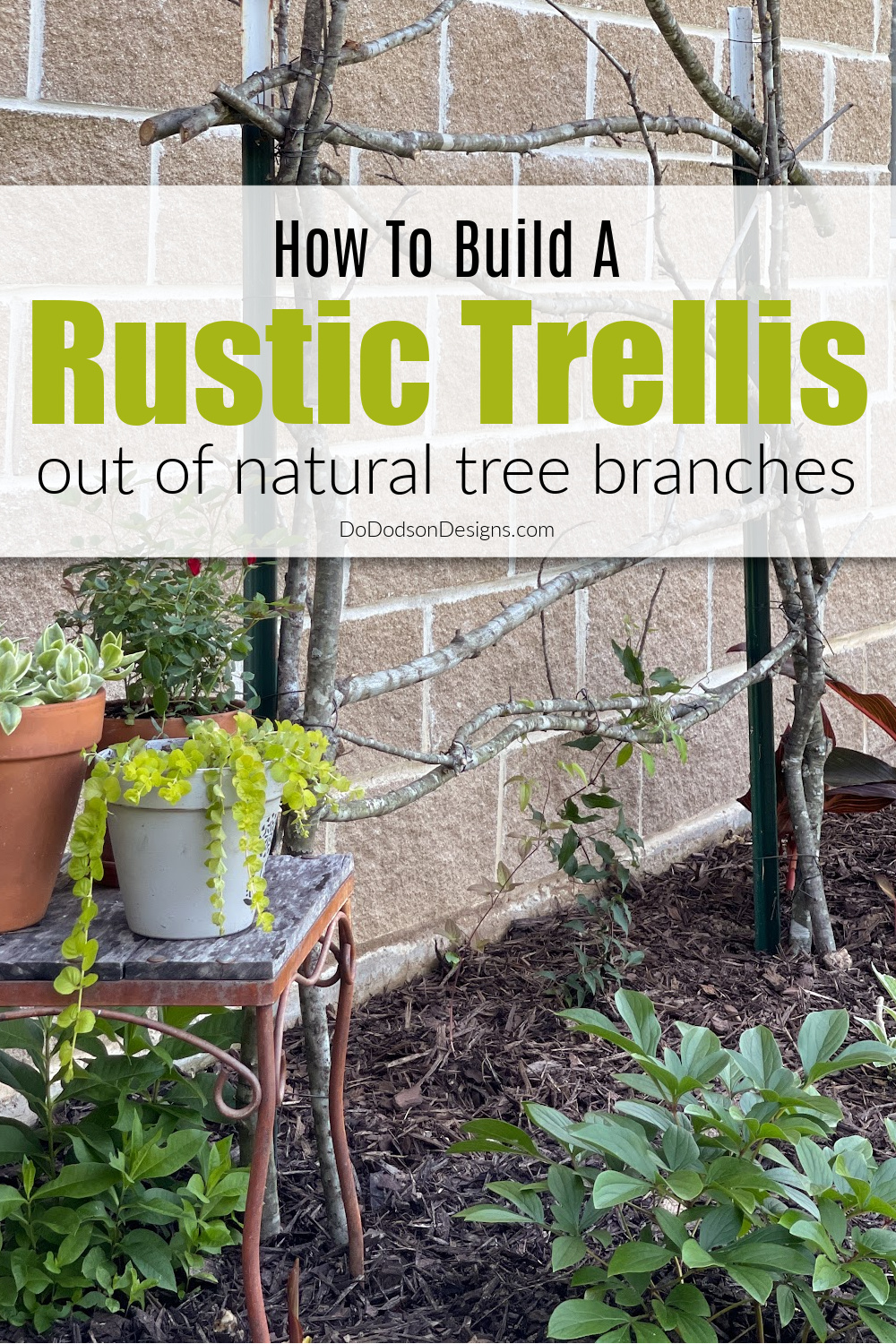 How To Build A Rustic Trellis For Your Clematis From Repurposed Branches