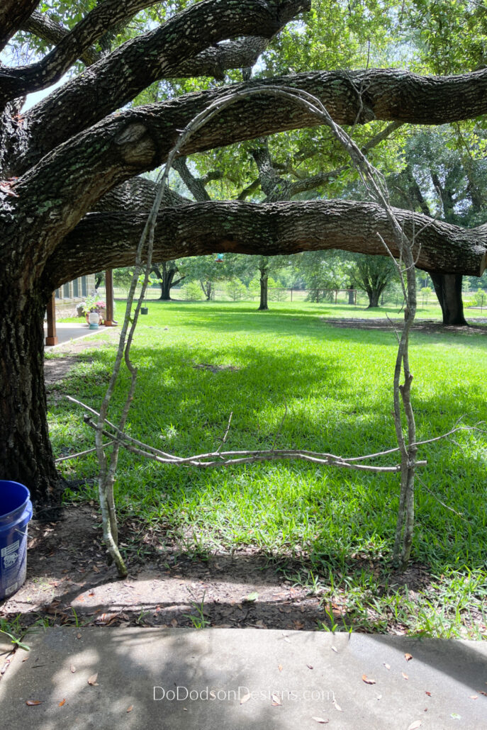 DIY Natural Branch Trellis