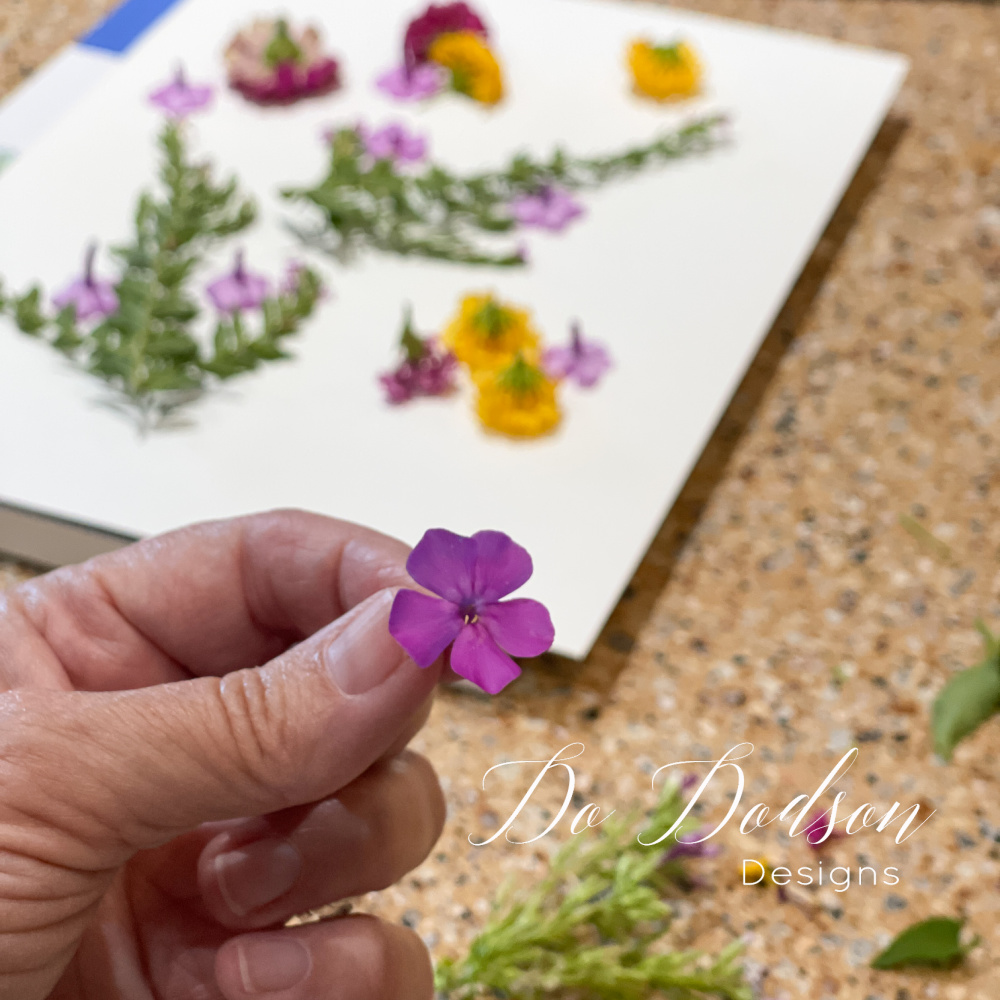 The Art of Flower Pounding On Paper