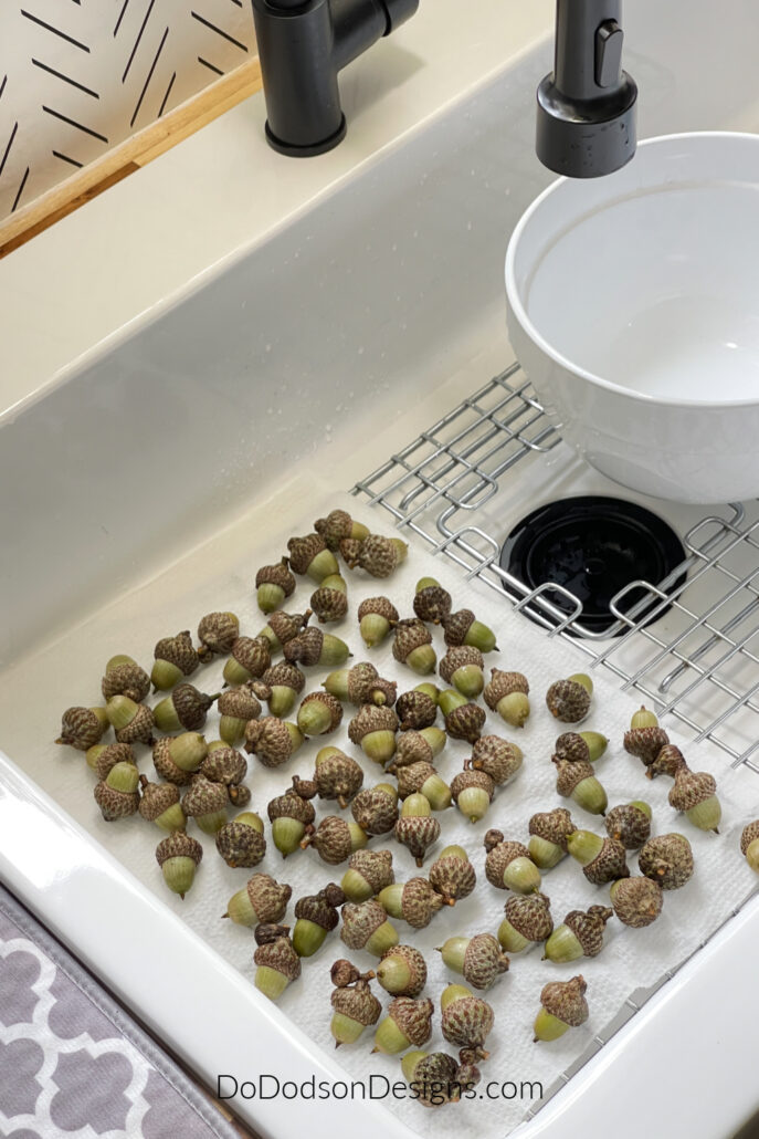 How To Clean And Preserve Acorns For Crafts