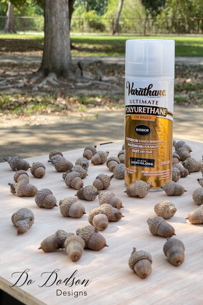 How To Keep Acorns From Rotting In The Fall