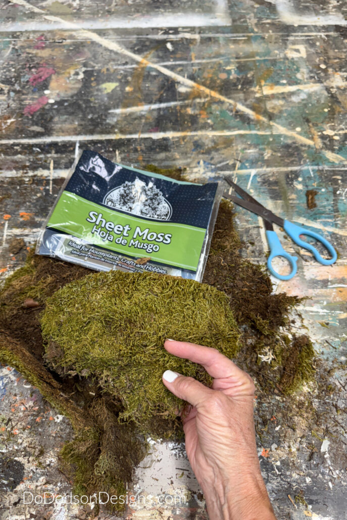 sheet moss for crafts