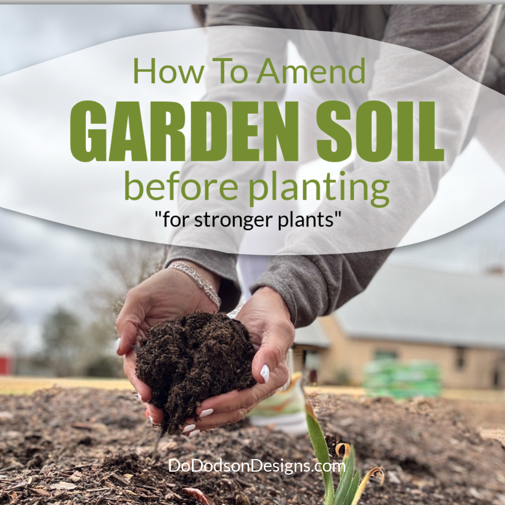 Get your garden ready: Soil prep tips!