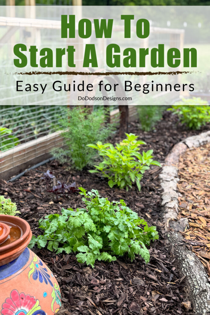 Cilantro growing in a mulched backyard garden bed with text overlay &ldquo;How To Start A Garden Easy Guide for Beginners,&rdquo; showing a simple beginner vegetable garden setup.