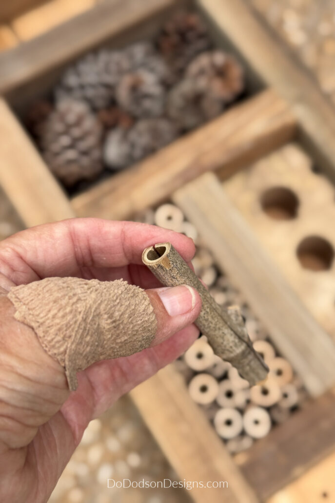 In the background, compartments of the insect hotel are filled with bamboo tubes, pinecones, and drilled brick openings, creating nesting habitats for solitary bees and beneficial pollinators.