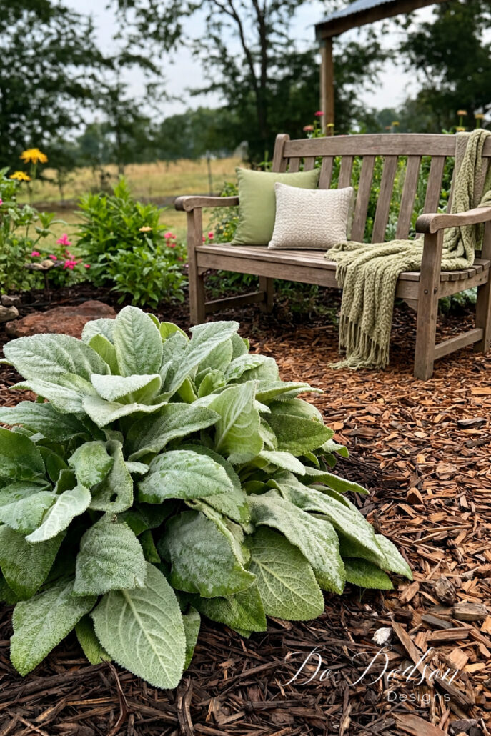 Wooden garden bench nestled beside a mulched flower bed filled with lamb's ear, colorful blooms, and lush greenery. Soft green pillows and a cozy throw blanket create a peaceful cottage garden seating area, perfect for relaxing and enjoying the backyard landscape.