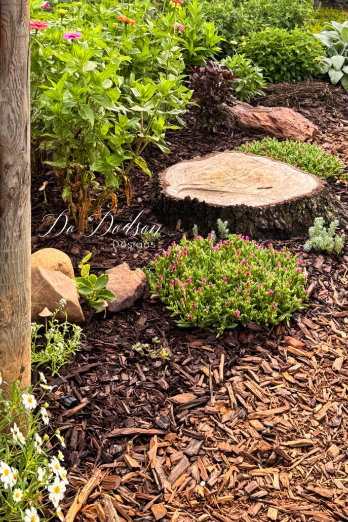 Curved mulch garden path winding through a colorful cottage-style flower garden featuring blooming zinnias, flowering ground cover, ornamental shrubs, natural stone accents, and a large tree stump focal point surrounded by layered plantings and rustic landscaping.