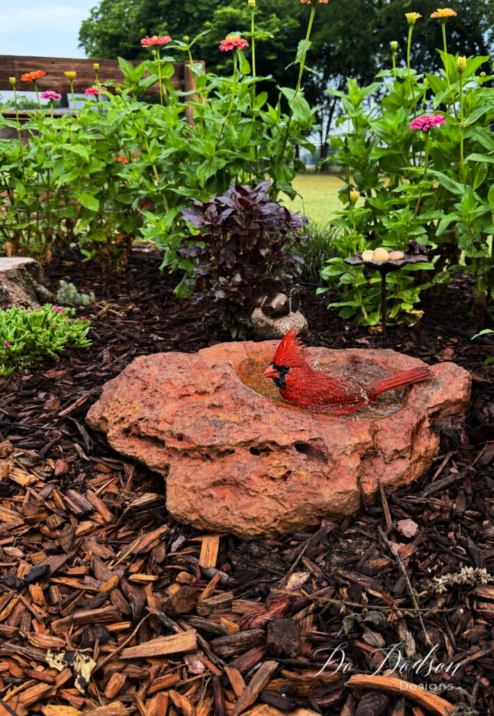 Handcrafted stone birdbath nestled in a cottage garden filled with blooming zinnias and colorful foliage, featuring a bright red cardinal splashing in the water. Surrounded by mulch, flowering plants, and rustic garden accents, this bird-friendly garden space attracts wildlife while adding natural beauty to the landscape.