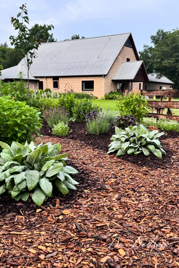Curved mulch pathway winding through a cottage-style garden filled with lamb's ear, lavender, flowering perennials, and layered greenery. A rustic wooden fence and farmhouse-inspired home create a charming backyard garden design with soft textures and country cottage appeal.