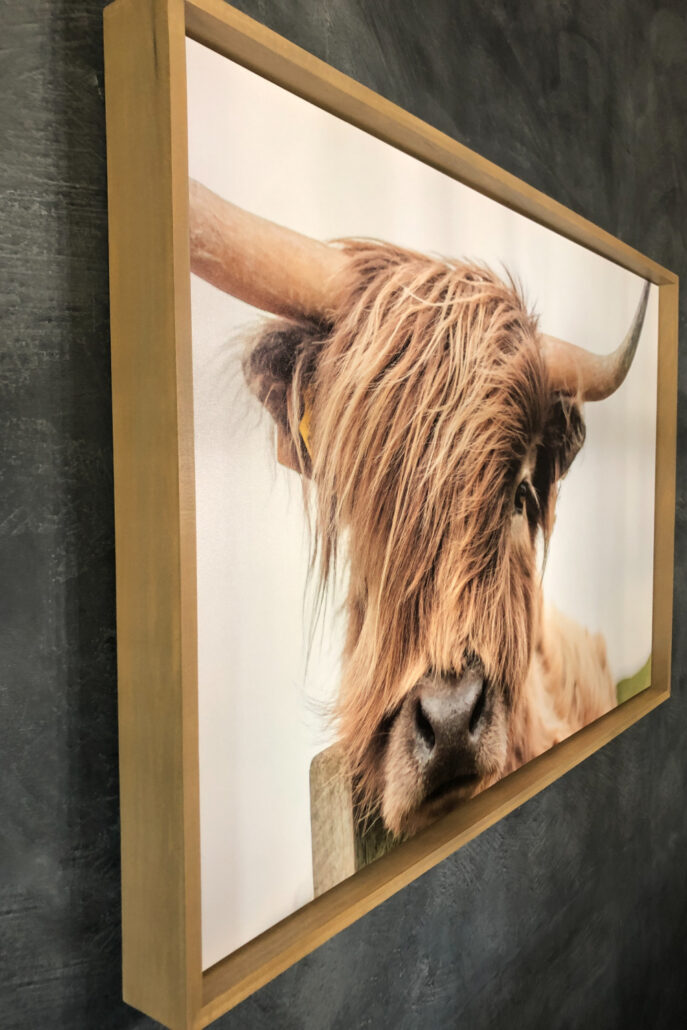 Close-up of a DIY wood floating frame made from leftover wood showing the small gap between the Highland cow canvas and natural wood frame against a black wall.