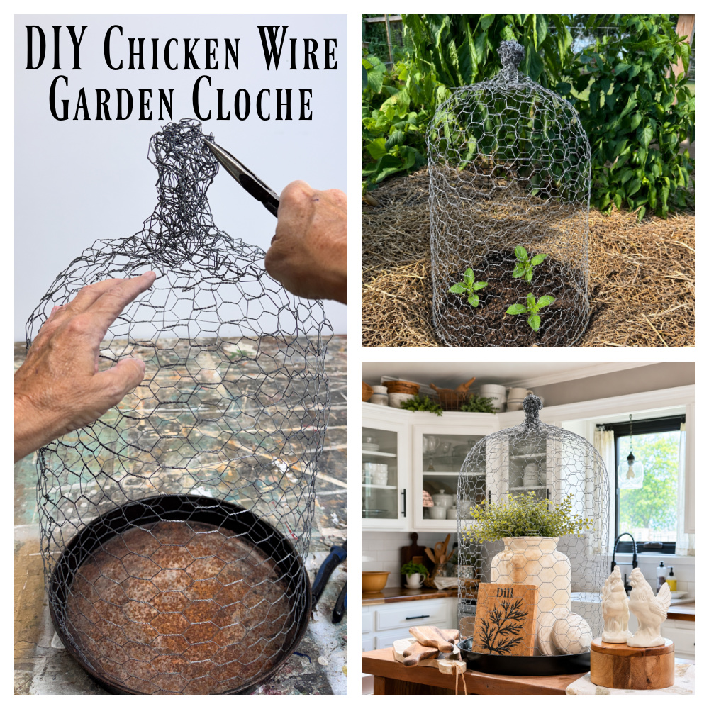 Garden DIY Chicken Wire Cloche