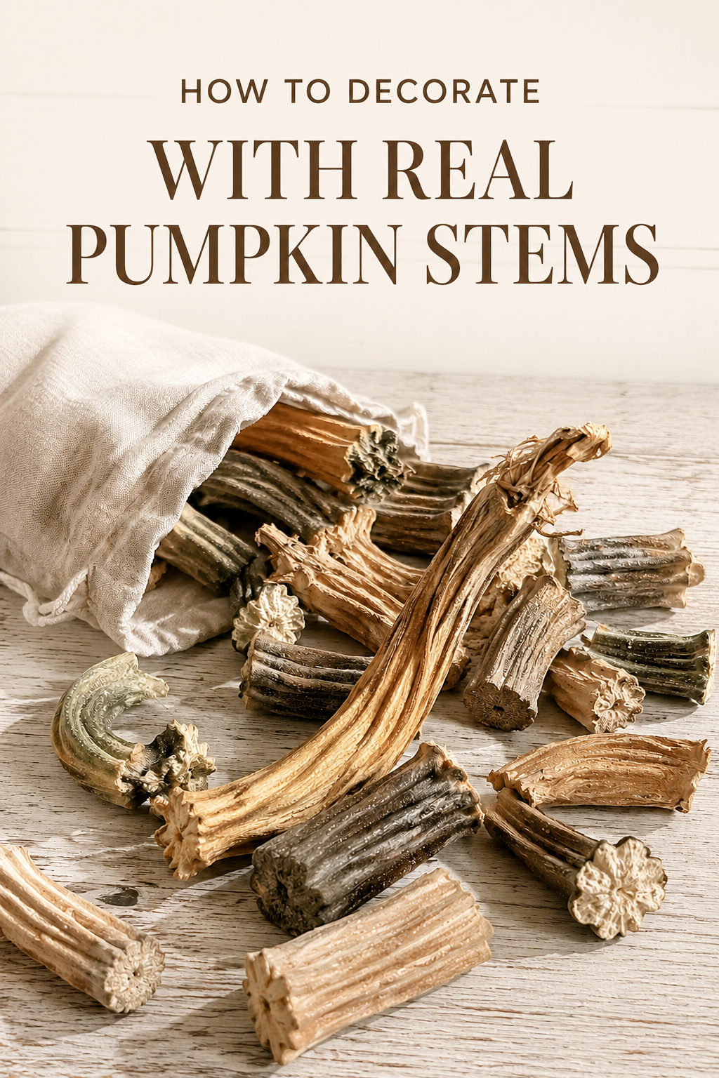 Decorating With Real Pumpkin Stems: Unique Fall Décor Ideas