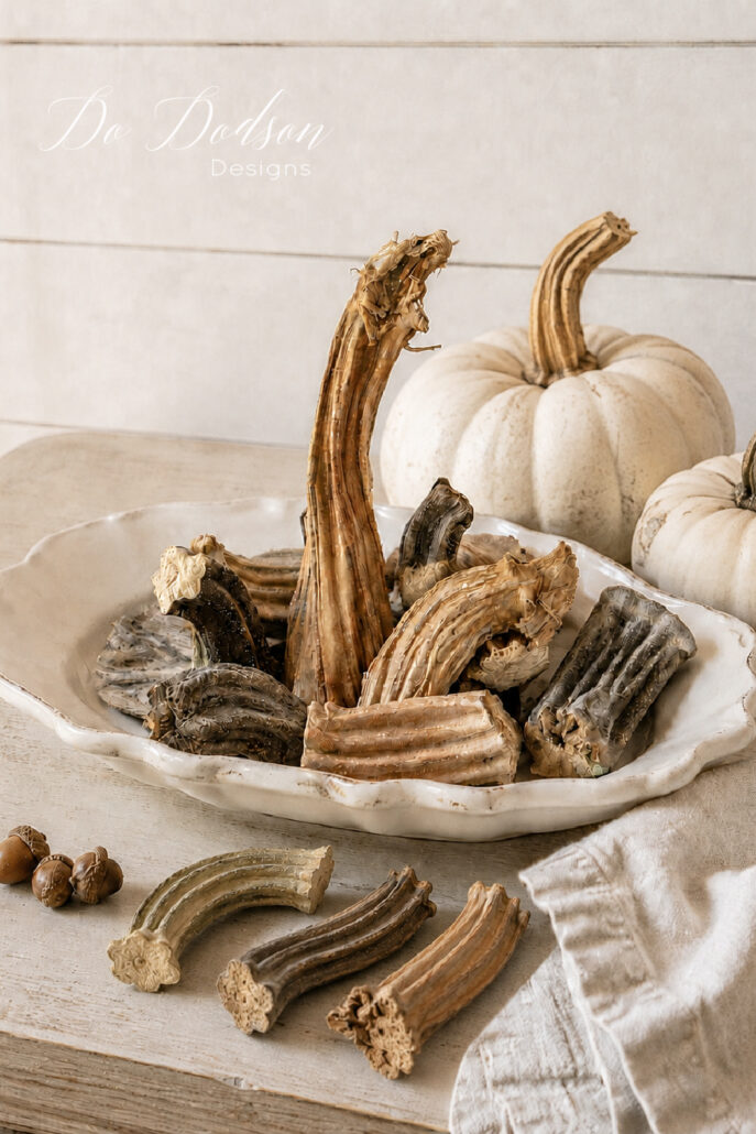 Dried real pumpkin stems displayed in a vintage ironstone dish with white heirloom pumpkins, acorns, and neutral linen.