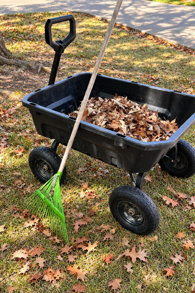 Black garden cart filled with dry fallen leaves beside a green rake for use as inexpensive planter filler.