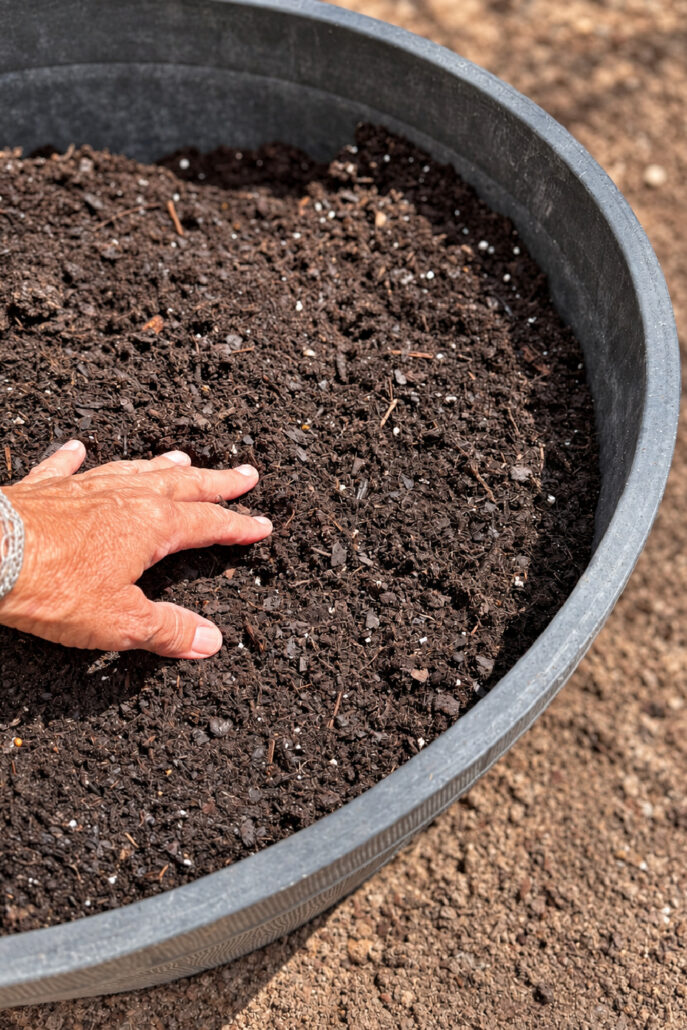 Hand gently leveling potting mix inside a large black planter before planting annual herbs.